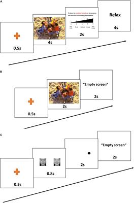 Brief Mindfulness Meditation Improves Emotion Processing